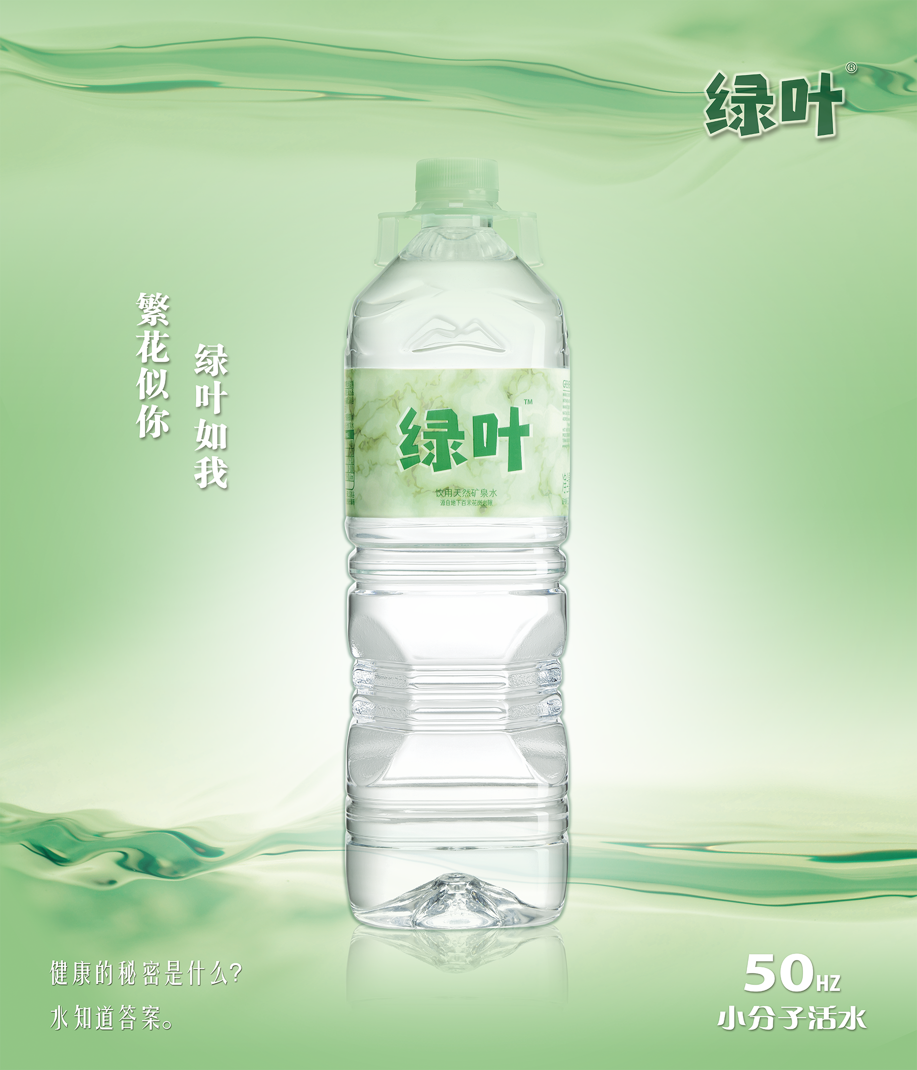 绿叶 1.5L